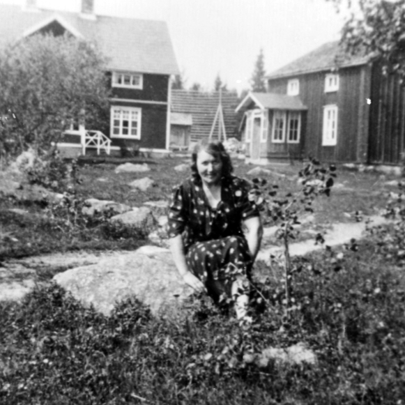 Fiske i Skatan notdragning riktning mot Myrbodarna